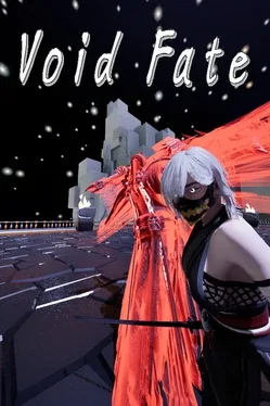 Image de couverture Void Fate