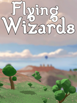 Flying Wizards