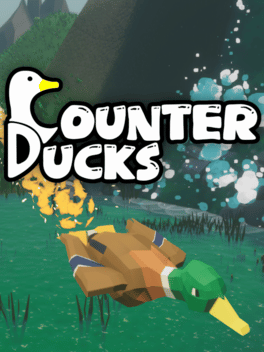 Counter Ducks