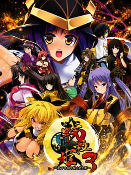 Sengoku Hime 3: Tenka o Kirisaku Hikari to Kage cover art