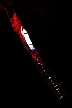 Velvet Shedding