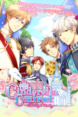 The Cinderella Contract