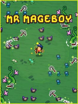 Mr Mageboy