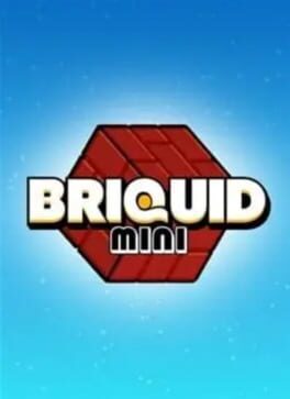 Briquid Mini kansikuva