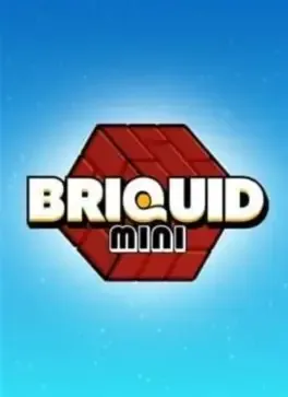 Briquid Mini