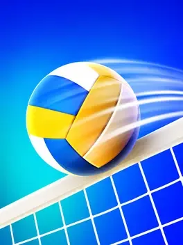 Volleyball Arena