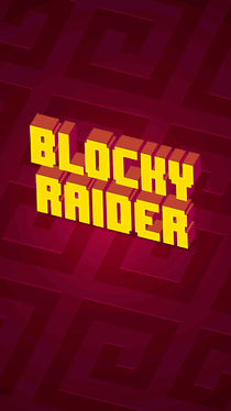 Blocky Raider