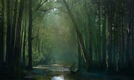 The Witcher 2: Assassins of Kings artwork 8