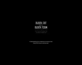Black Cat in a Black Room