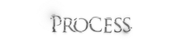 Process