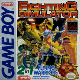 Fighting Simulator: 2-in-1 Flying Warriors Cover