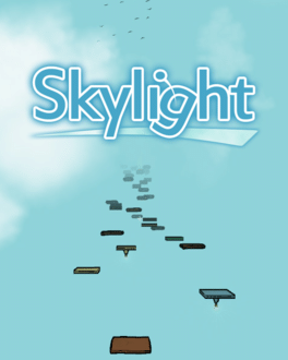 Skylight Cover