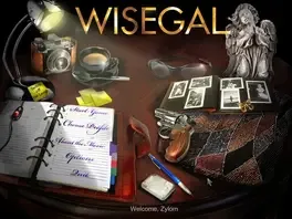 Image de couverture Wisegal