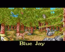 Barney Bear Goes Camping screenshot