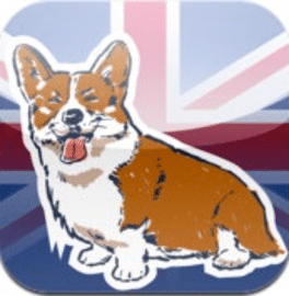 MyRoyalCorgi Cover