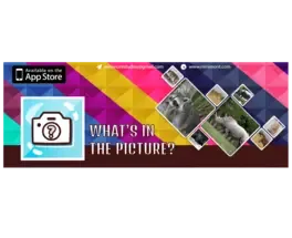 What's in the Picture: Animals