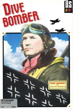 Dive Bomber image