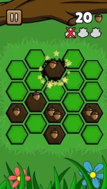 Mini Nuts