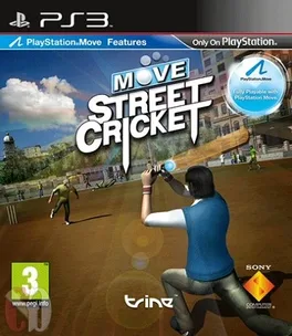 Move Street Cricket image