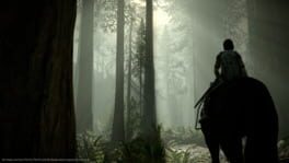 Captura 10