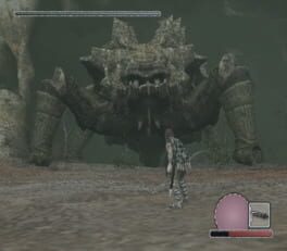 Captura 7
