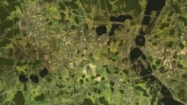 Steel Division 2: Reinforcement Pack #2 screenshot