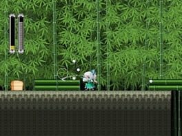 Game screenshot 8