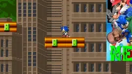 Sonic Paradise screenshot