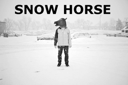 Snow Horse