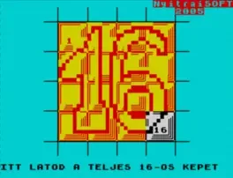 16-OS Puzzle