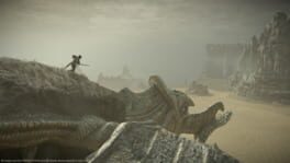 Captura 11