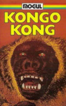 Kongo Kong