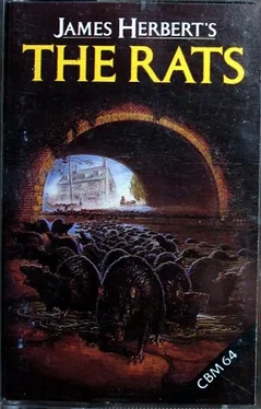 The Rats image