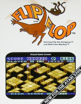Flip & Flop