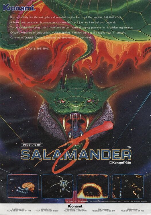 Salamander artwork 1