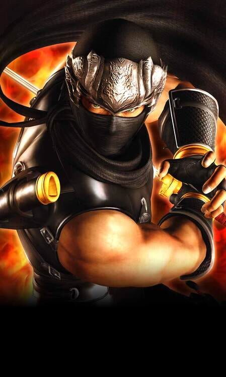 Ninja Gaiden: Master Collection artwork 2
