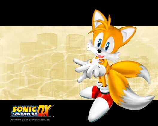Sonic Adventure DX: Director's Cut artwork 6