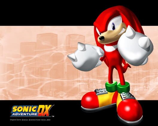 Sonic Adventure DX: Director's Cut artwork 7