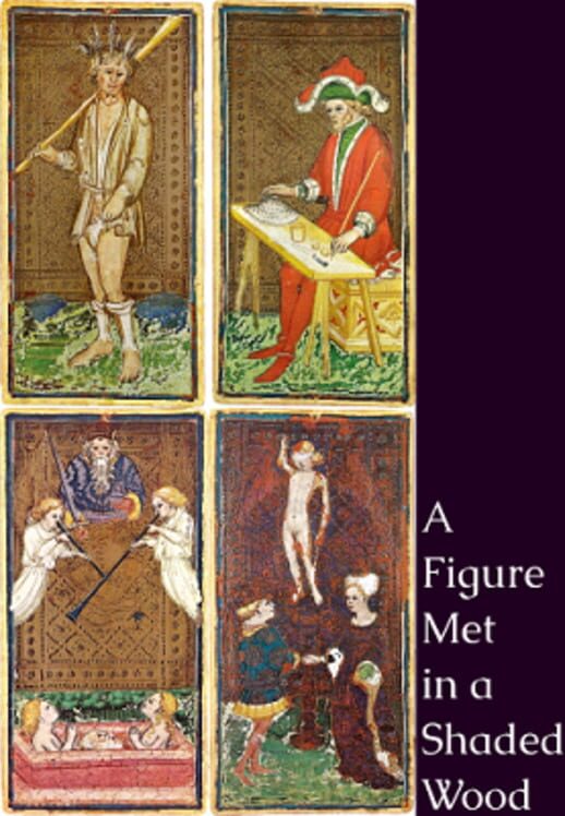 A Figure Met in a Shaded Wood cover art