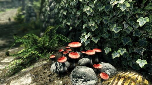 The Elder Scrolls V: Skyrim - Special Edition screenshot 3