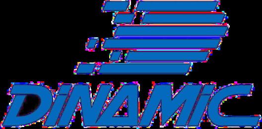 Dinamic Software logo