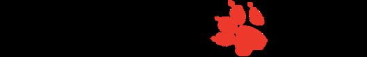 Naughty Dog logo