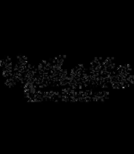 Valhalla Game Studios logo