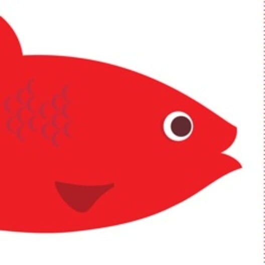 Red Herring cover