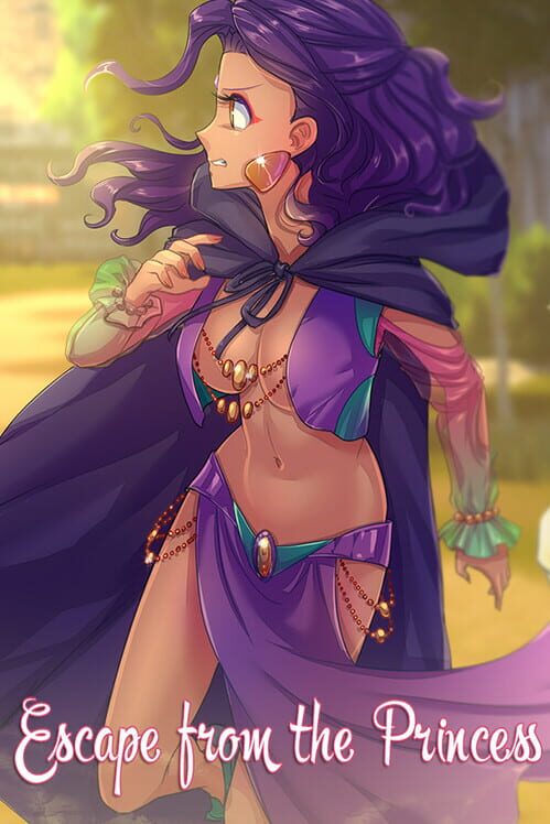 Donkey Kong Country 2 cover art