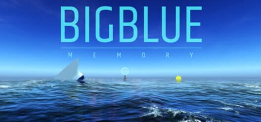Big Blue: Memory screenshot