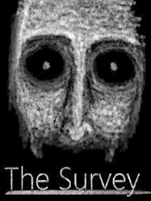 The Survey