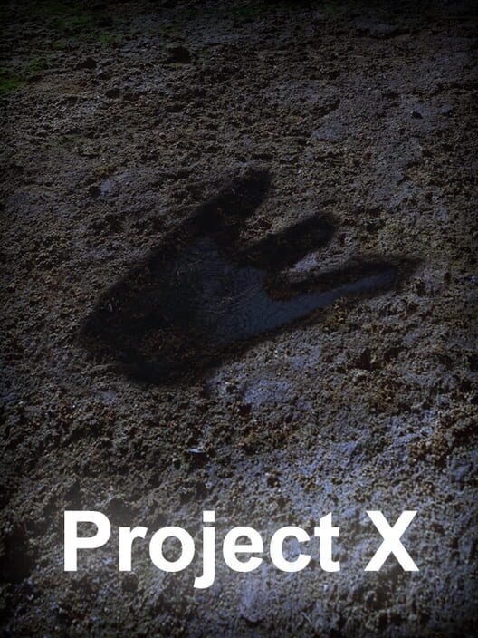 Project X screenshot