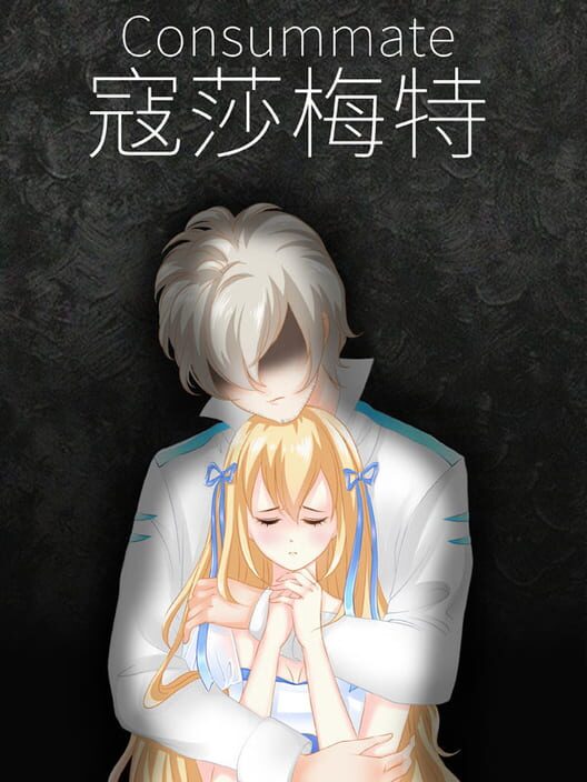 Consummate:Missing World screenshot