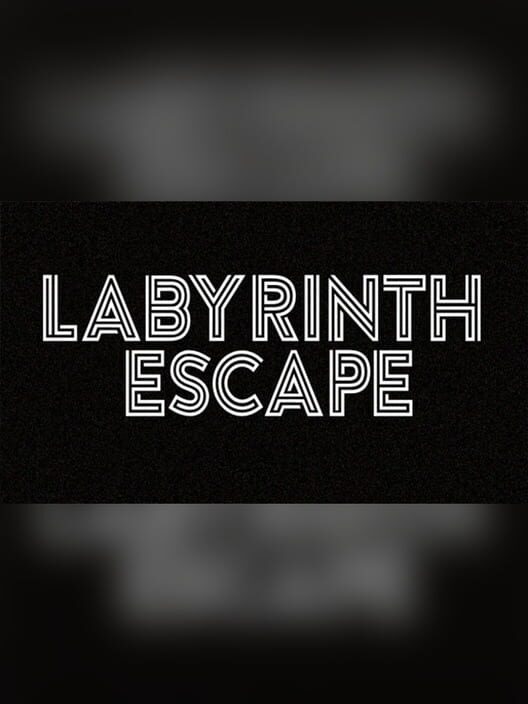 Labyrinth Escape screenshot